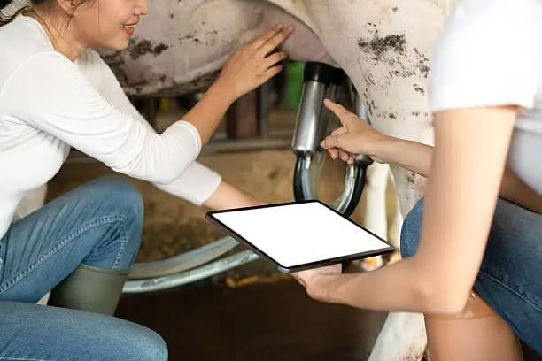 Smarter Breeding: How Nitara's Semen Recommendations Are Lifting Pregnancy Success Rates