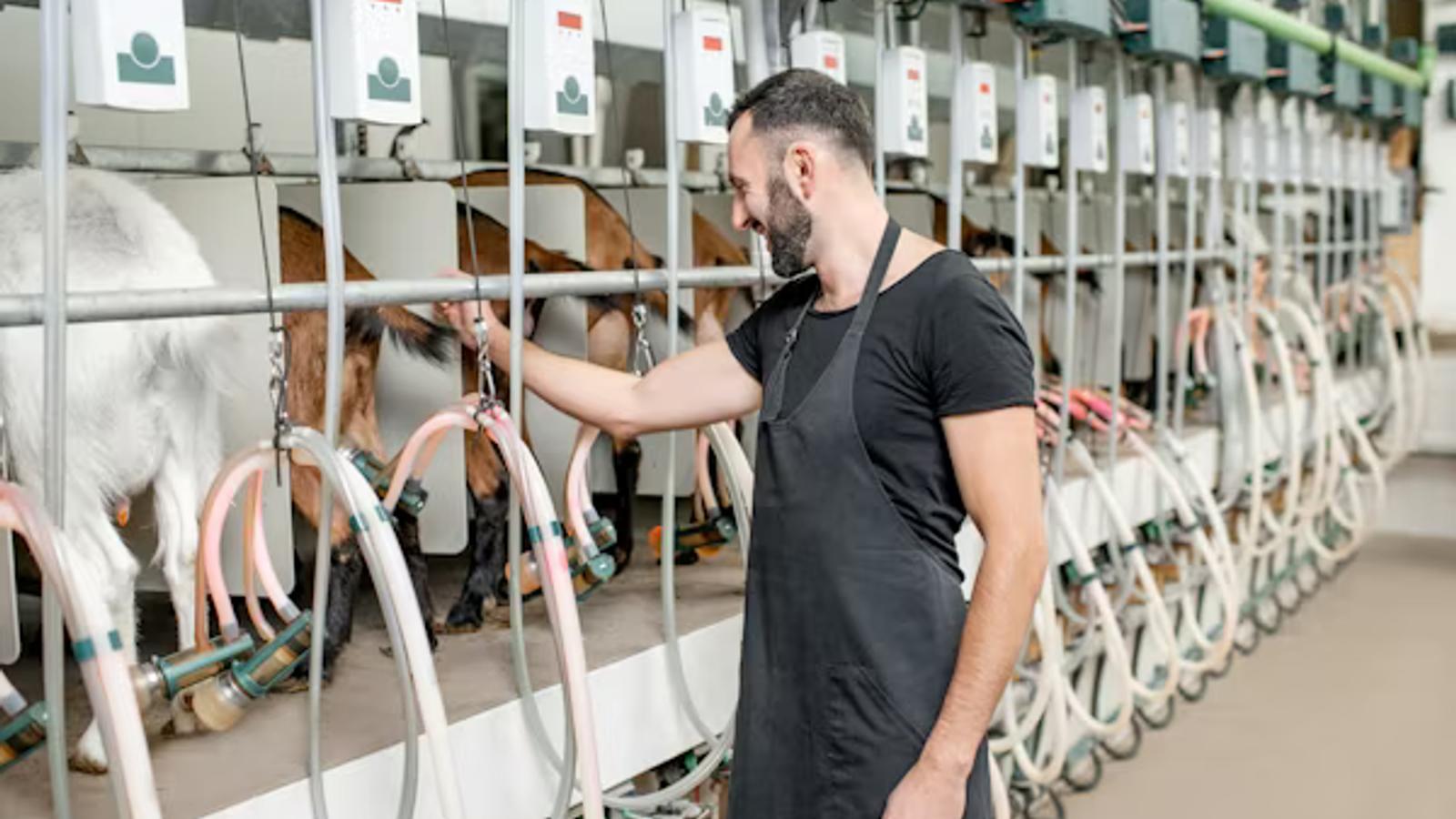 Predicting Calving Within a 6-Hour Window: Inside Our Maternity AI