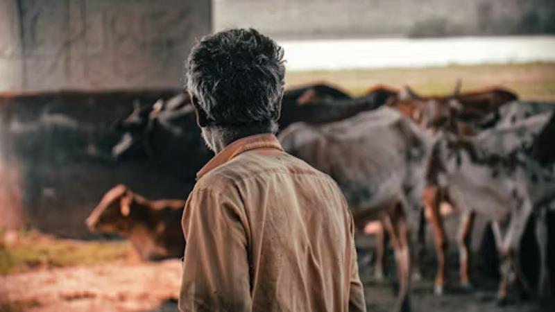 The Generational Handover in Indian Dairy Farming