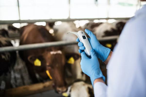 AI for Veterinarians: Building a Trusted Second Opinion