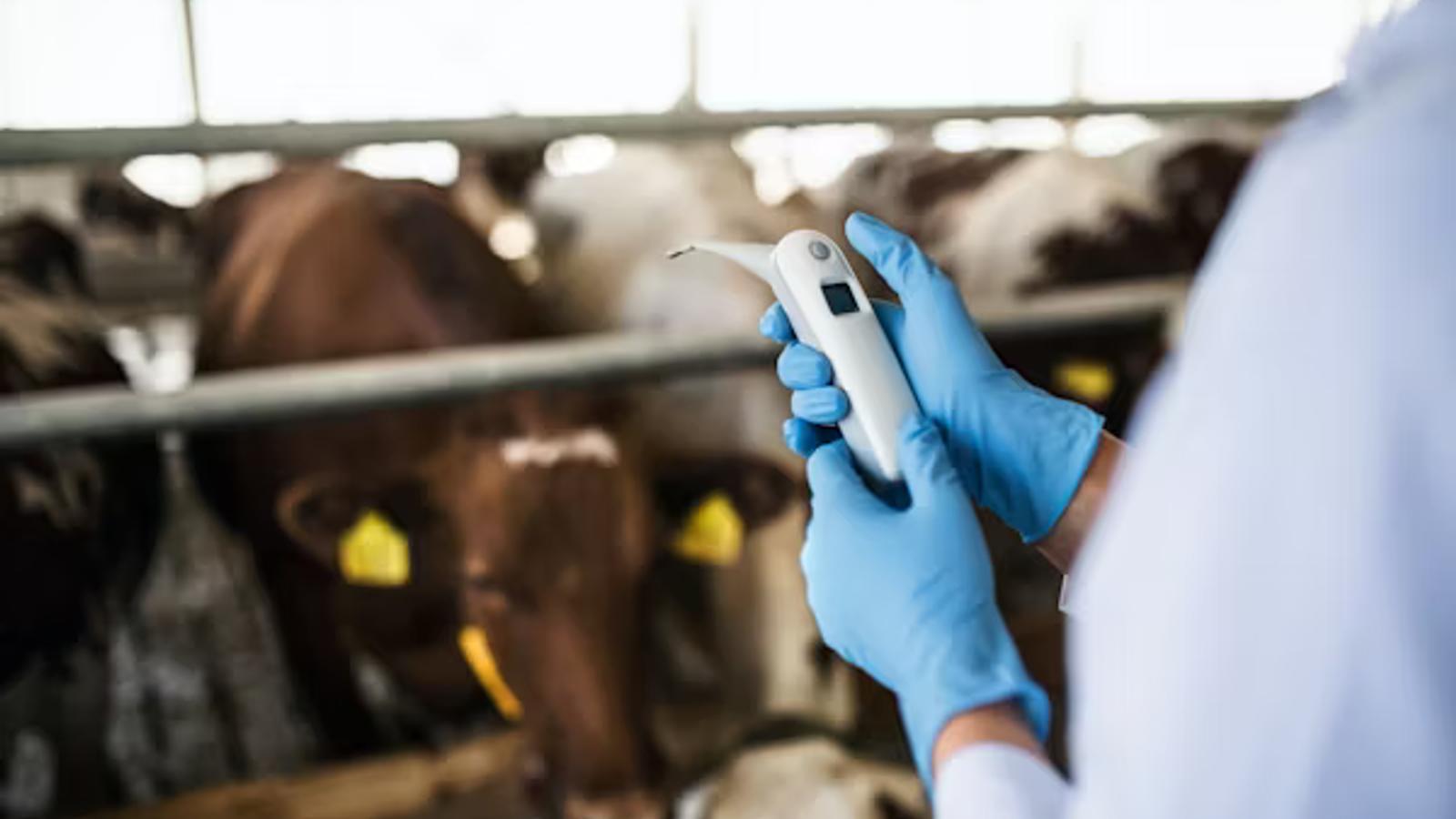 AI for Veterinarians: Building a Trusted Second Opinion