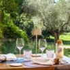 Restaurant vue oliviers