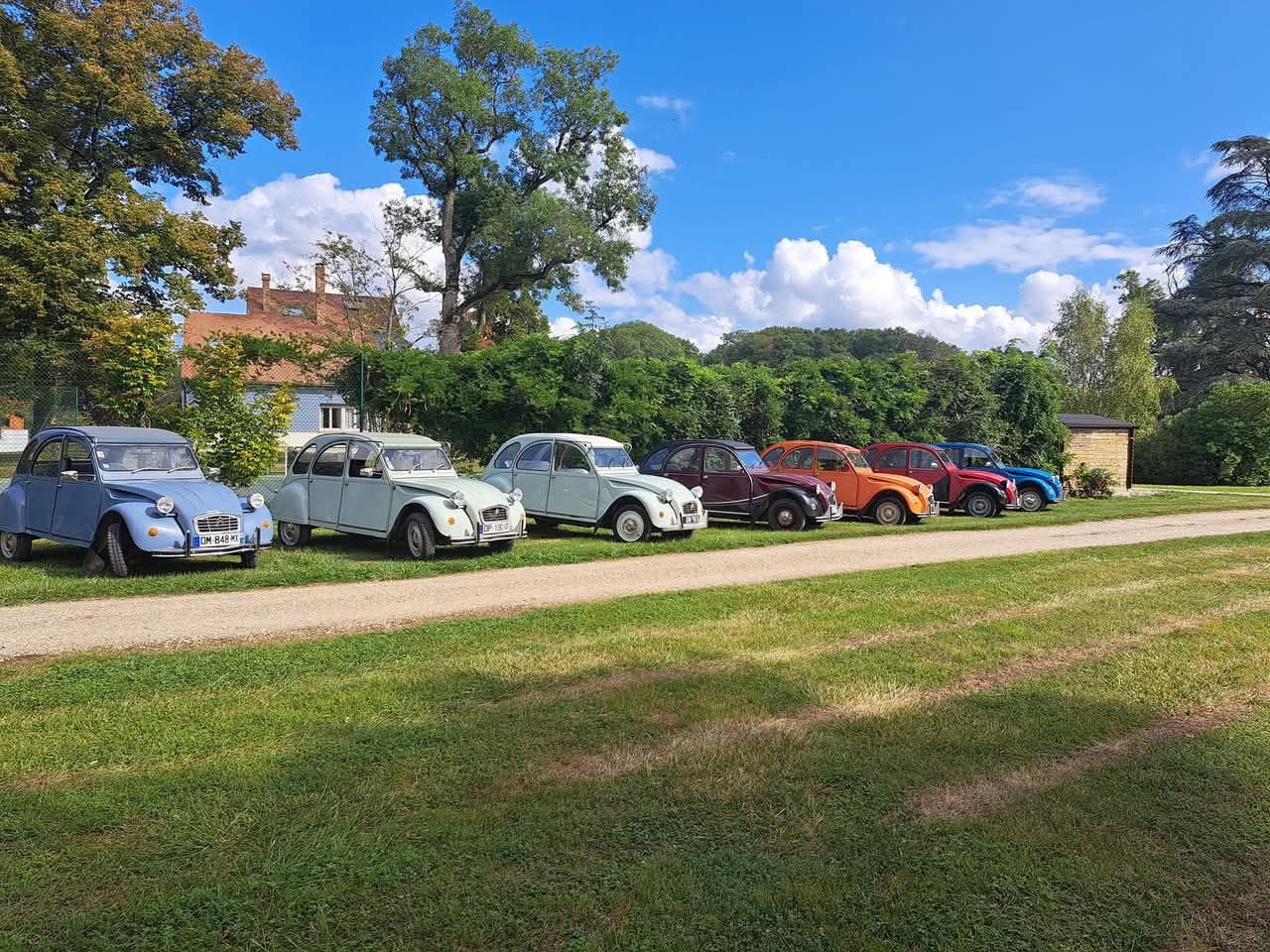 Alignement de 2CV colorées sur chemin de campagne