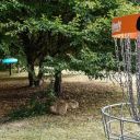 Disc golf No LImit