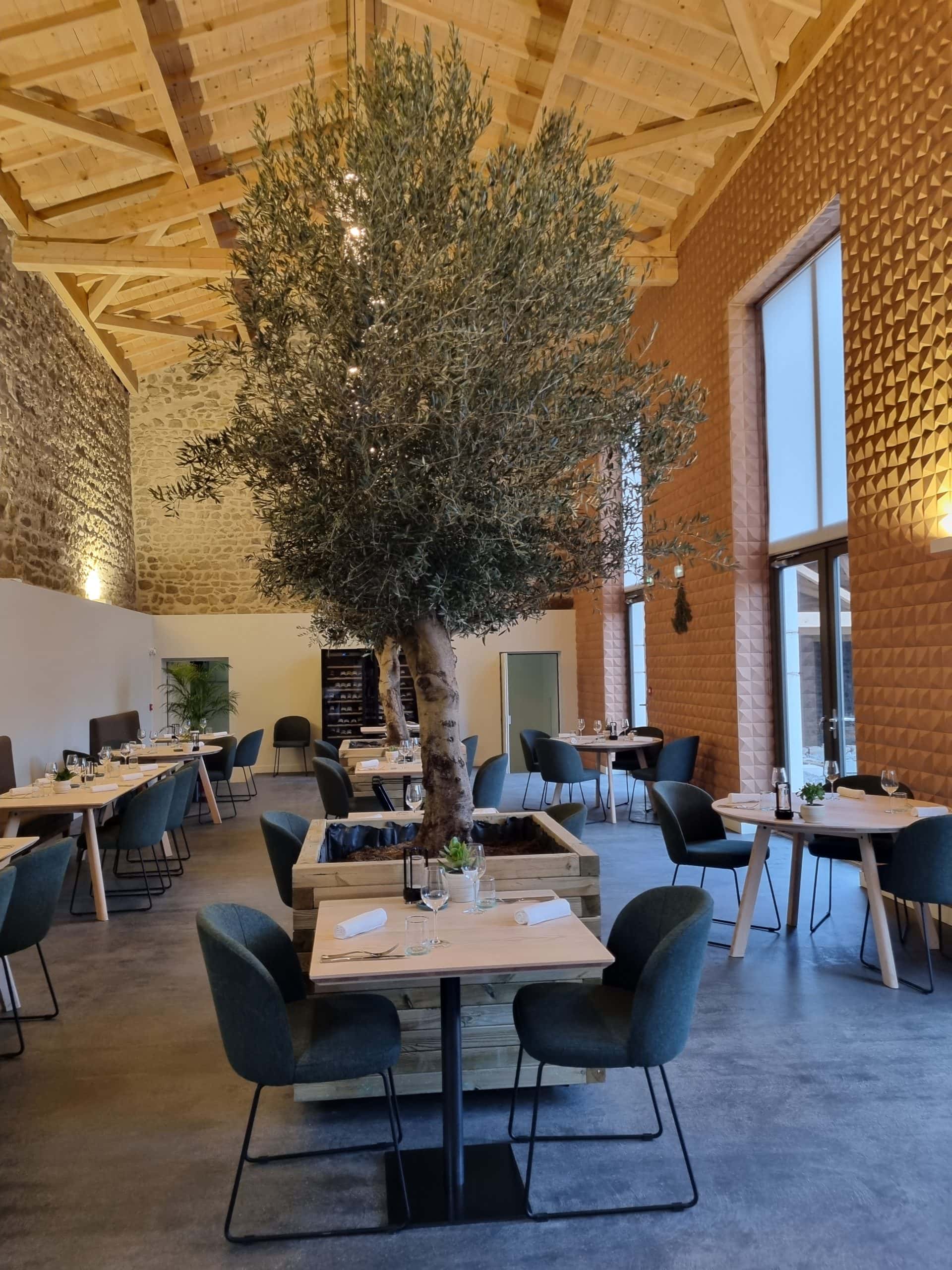 Restaurant salle olivier orange