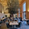 Restaurant salle olivier orange
