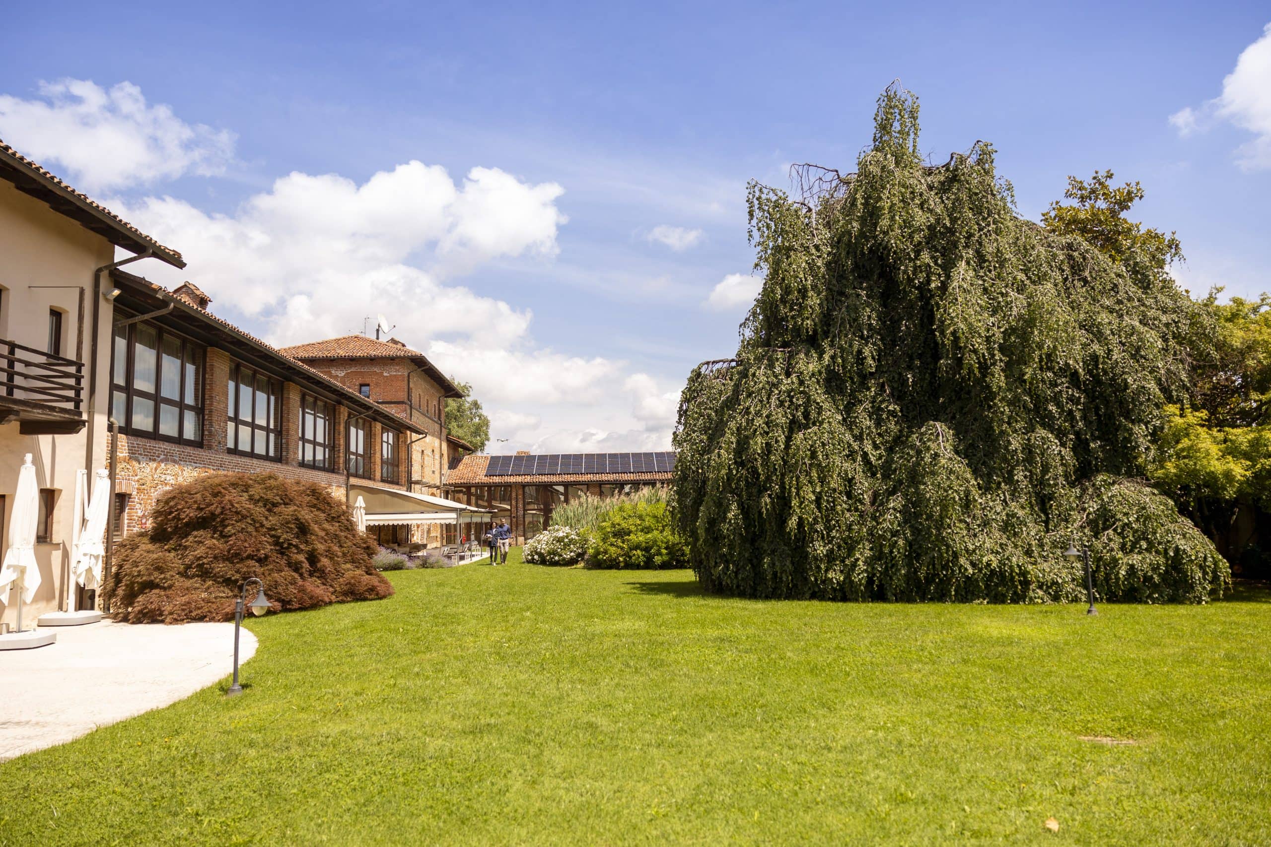 Jardin saule
