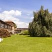 Jardin saule