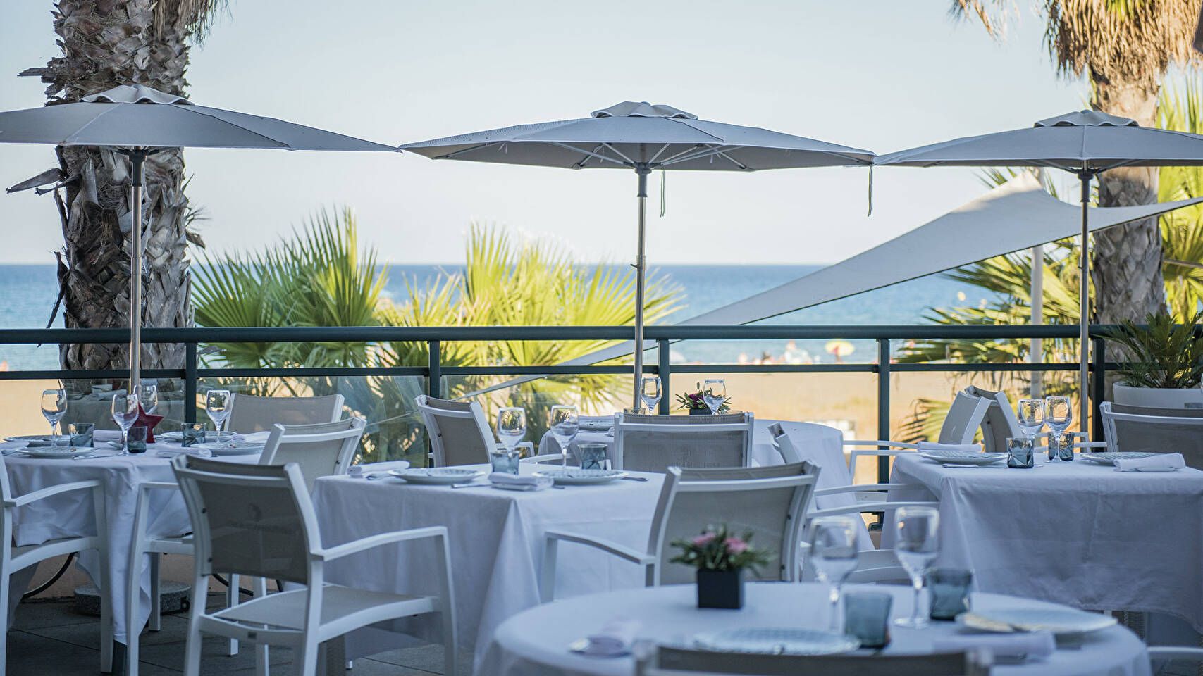 Terrasse pergola vignes