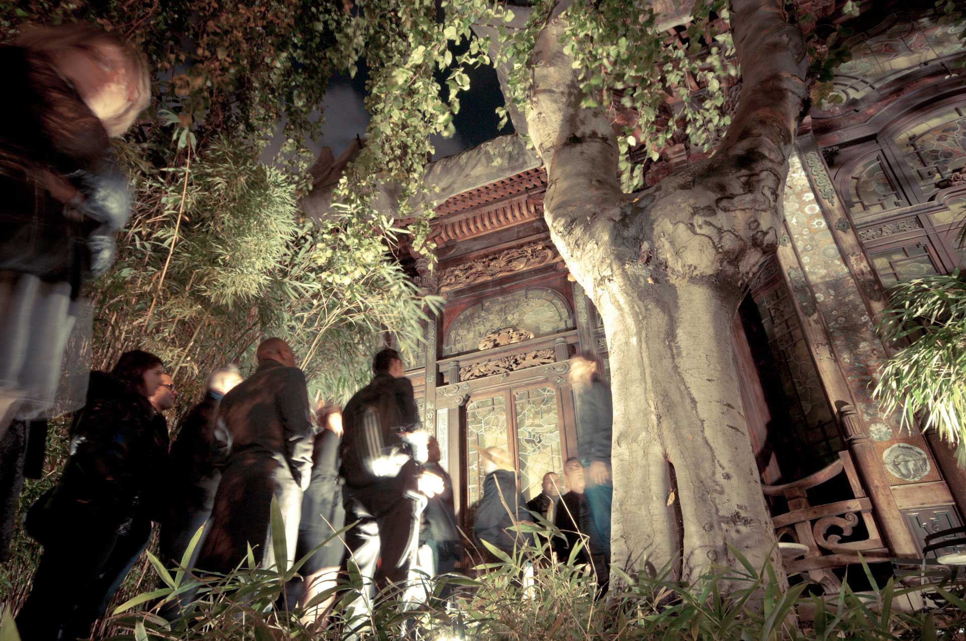 Visite nocturne d'un temple sous arbre centenaire