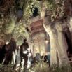 Visite nocturne d'un temple sous arbre centenaire