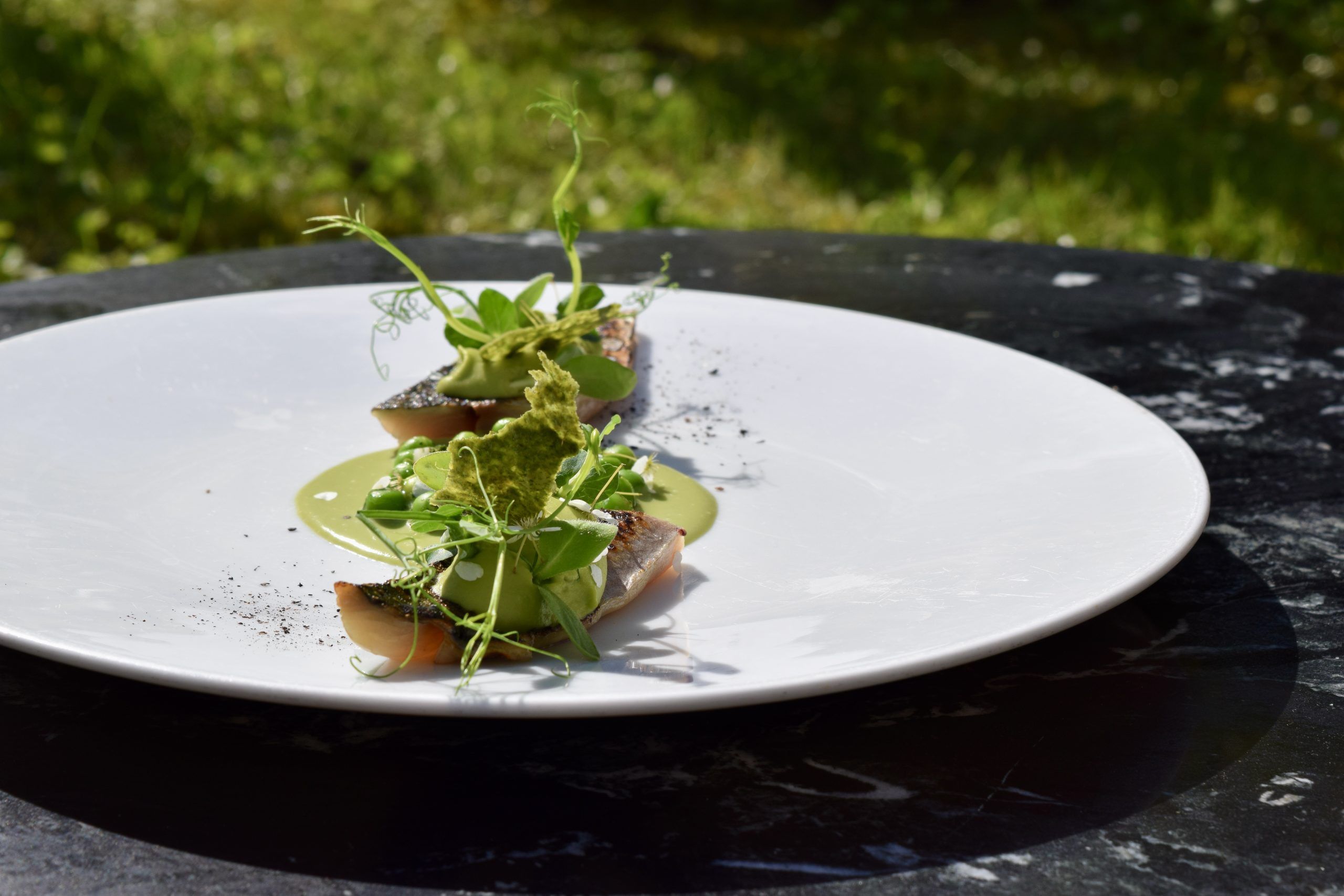 Plat poisson jardin
