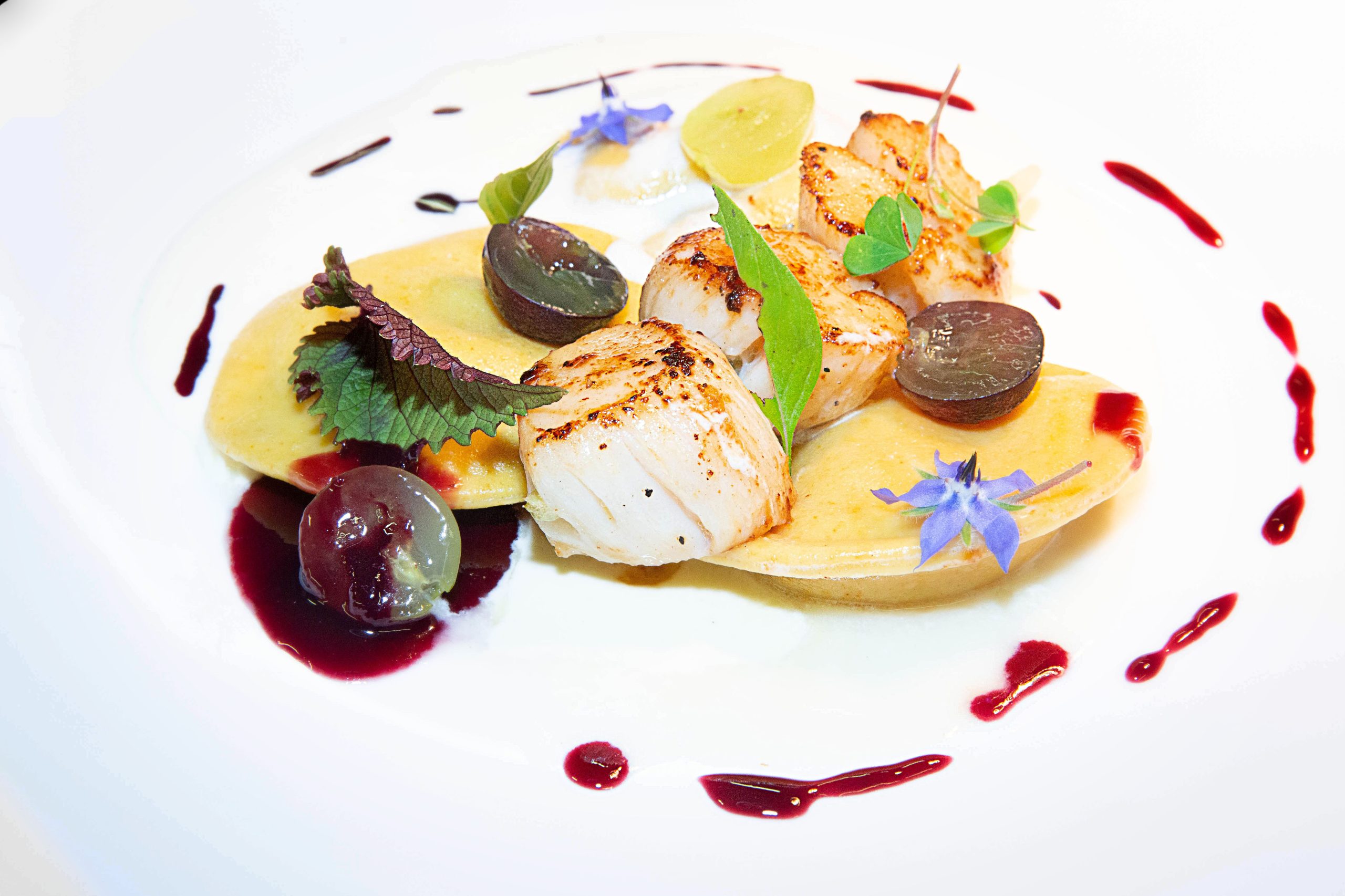 Plat saint jacques