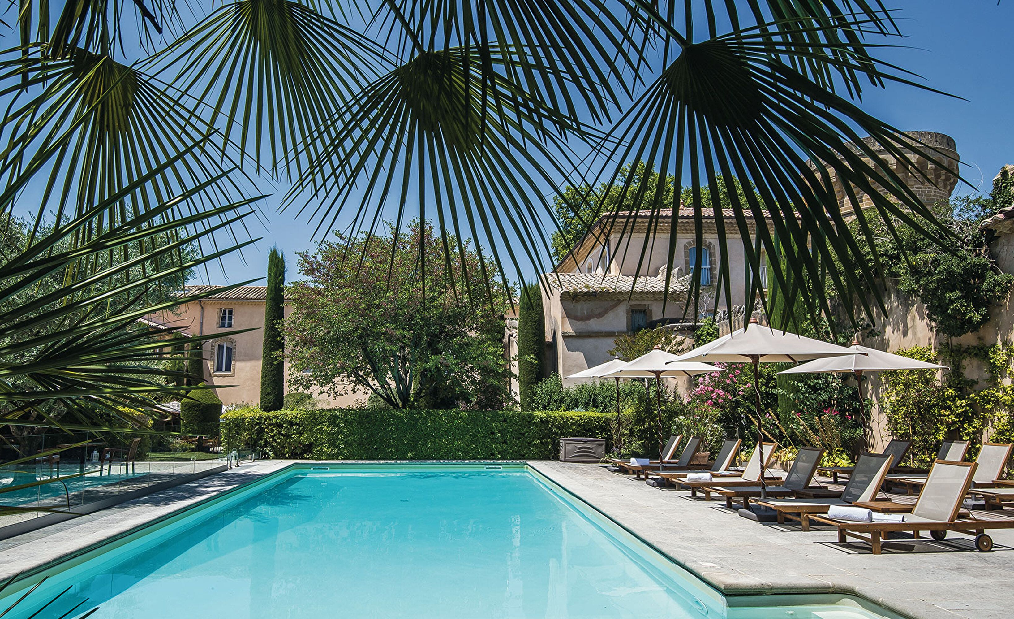 Piscine exterieure palmier