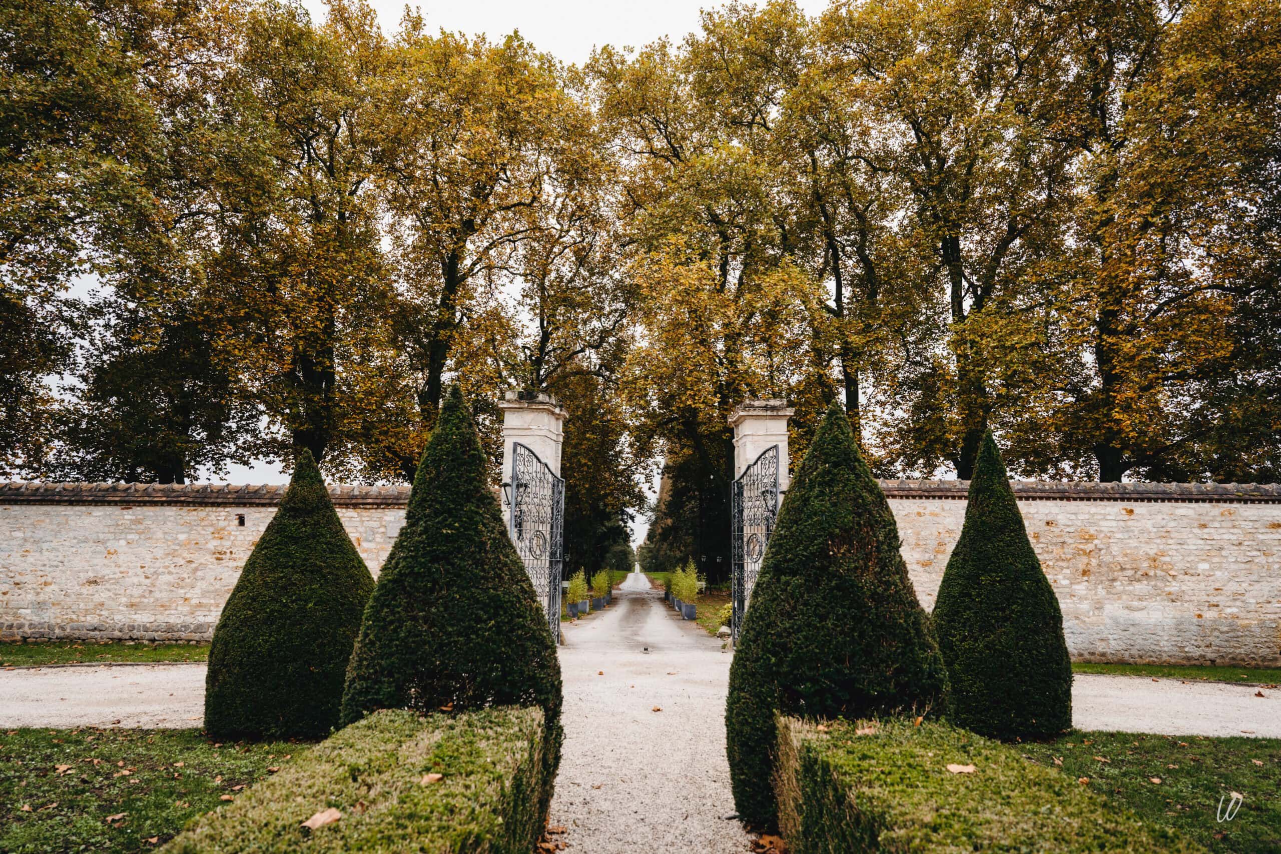 Jardin portail topiaires