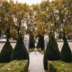 Jardin portail topiaires