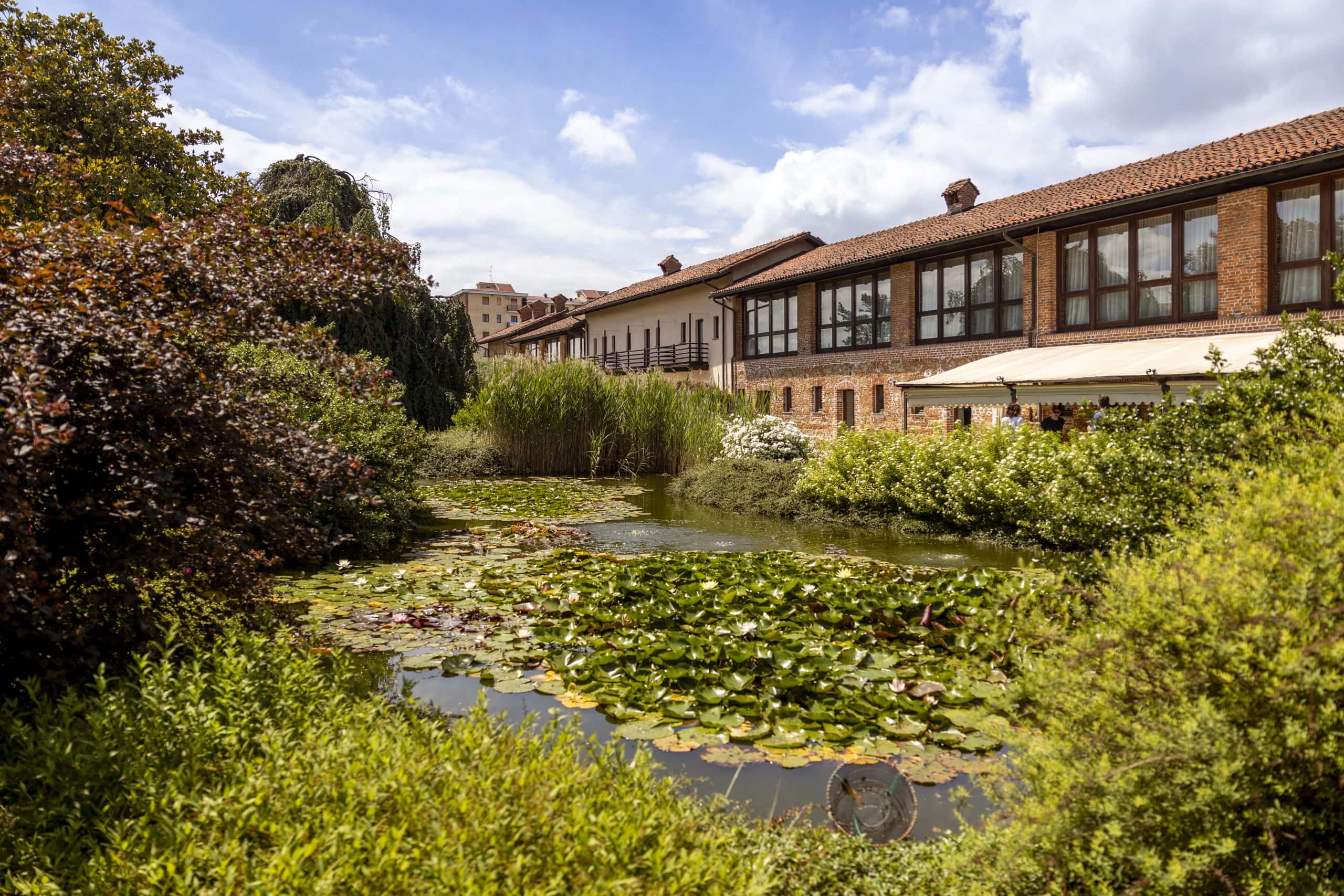 Jardin bassin nenuphars