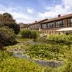 Jardin bassin nenuphars