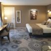 Chambre lion