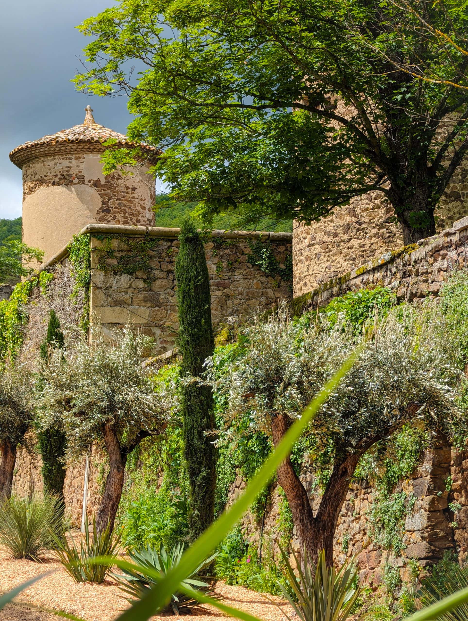 Jardin tour arriere