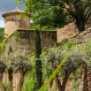 Jardin tour arriere