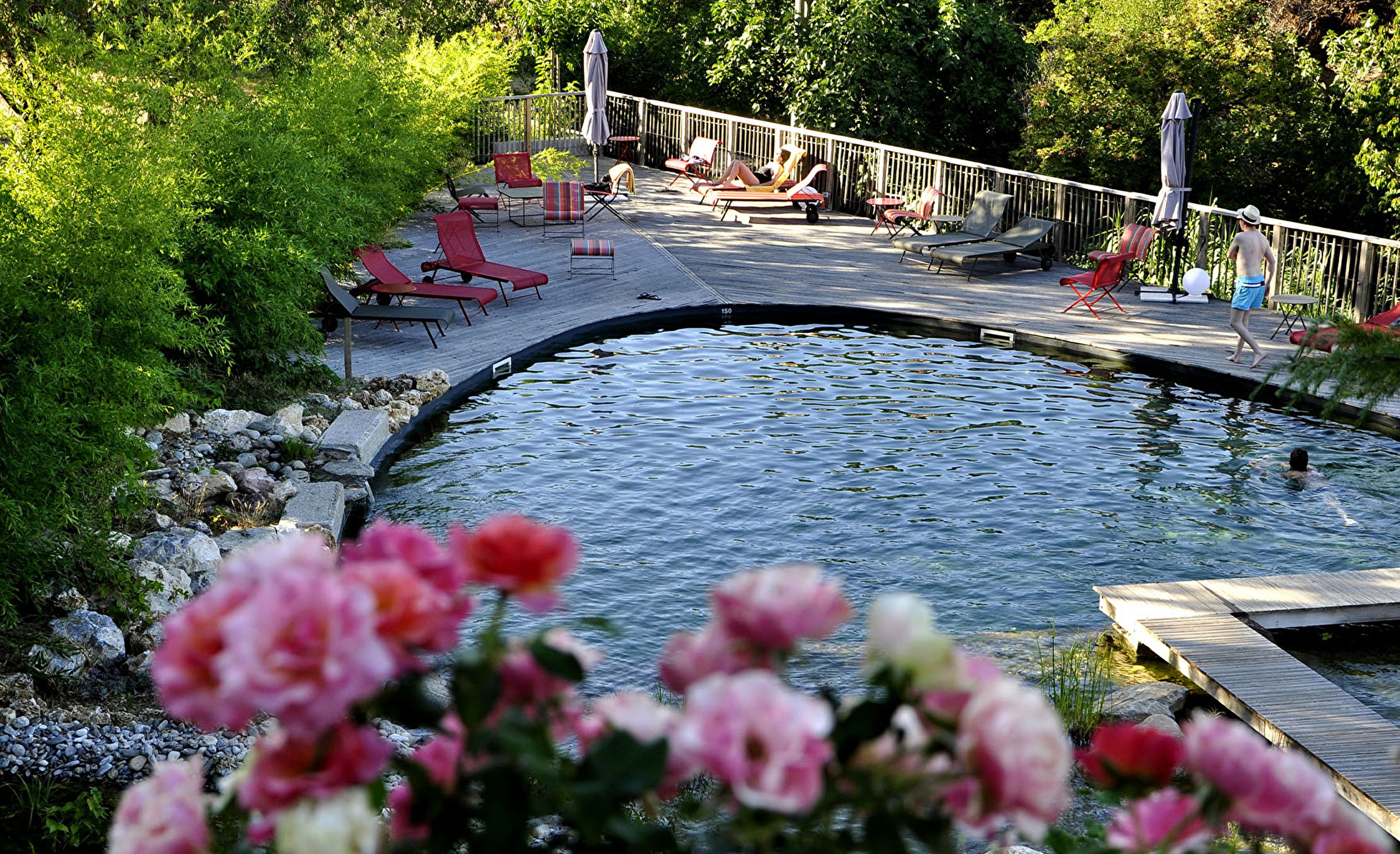 Piscine naturelle roses