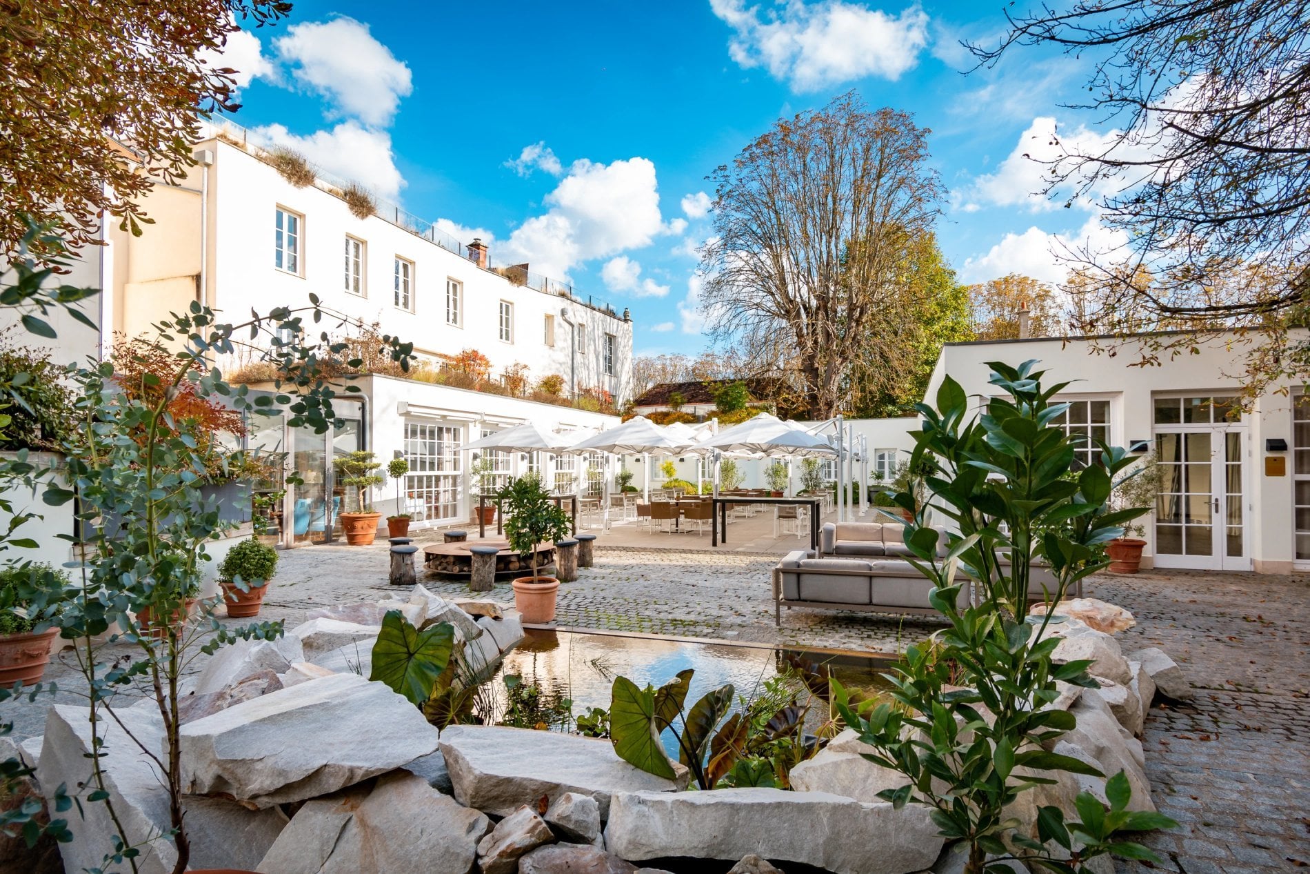 Jardin bassin parasols