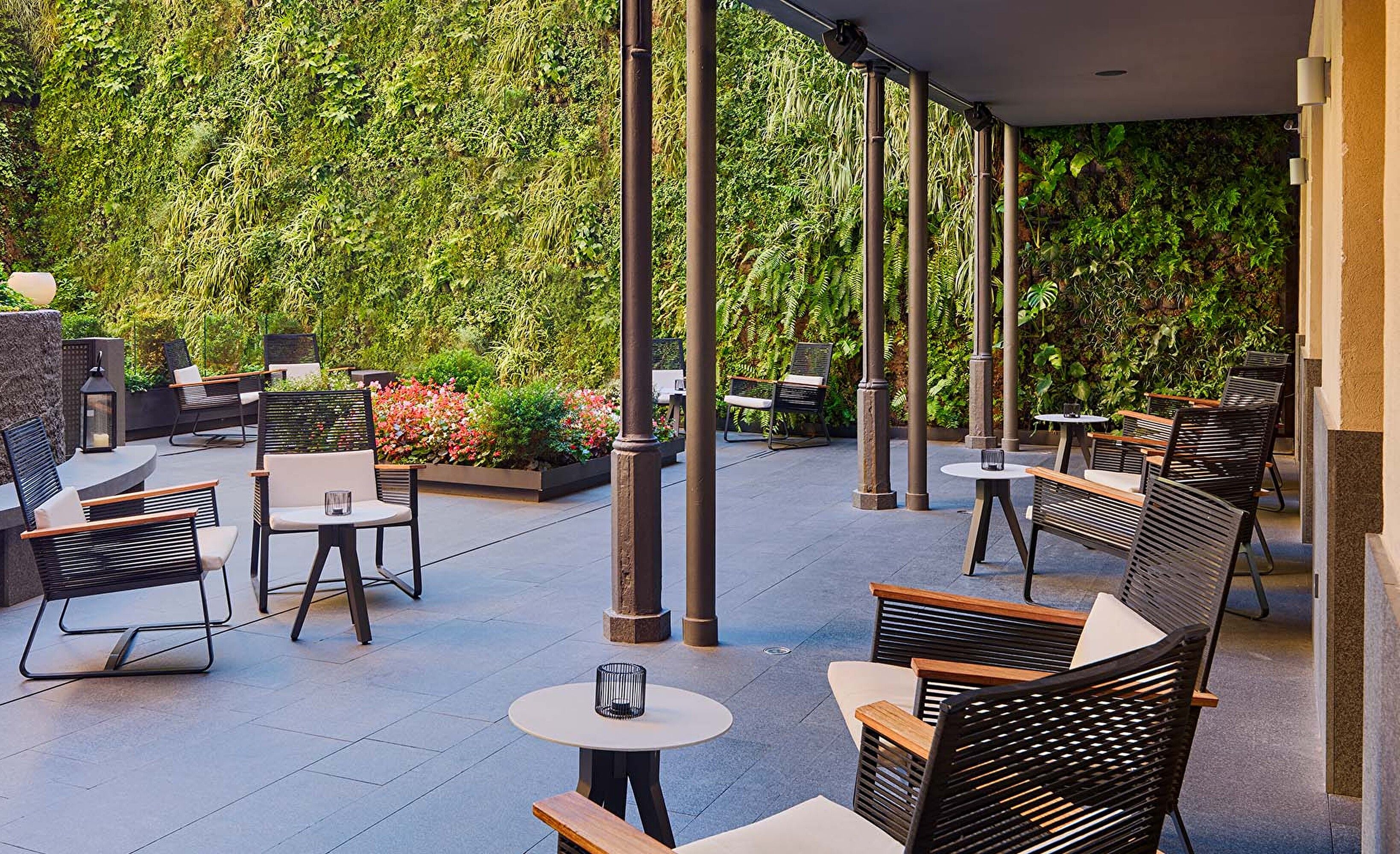 Terrasse mur vegetal