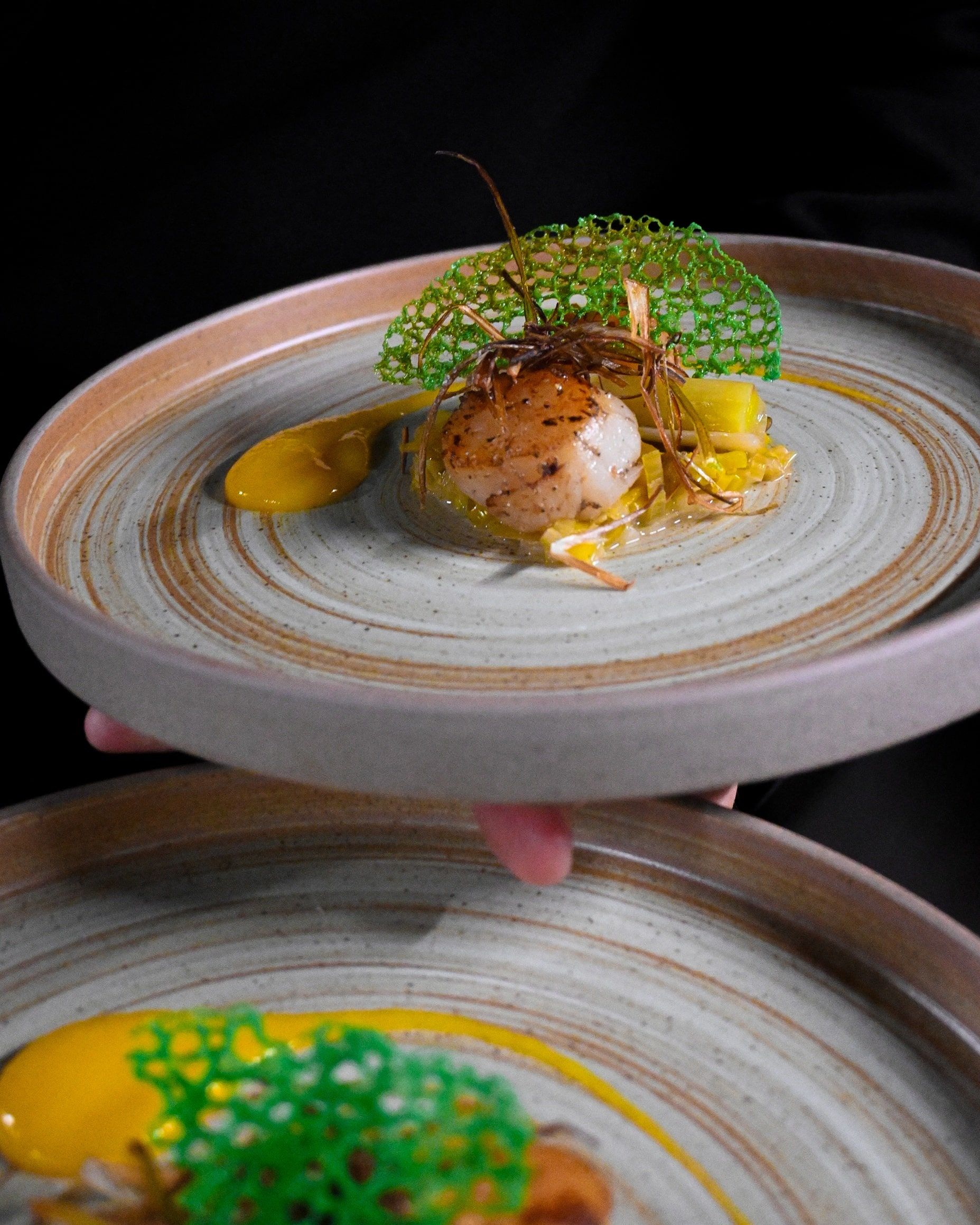 Saint-Jacques nappée et tuile verte en dressage gastronomique