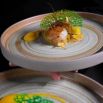 Saint-Jacques nappée et tuile verte en dressage gastronomique