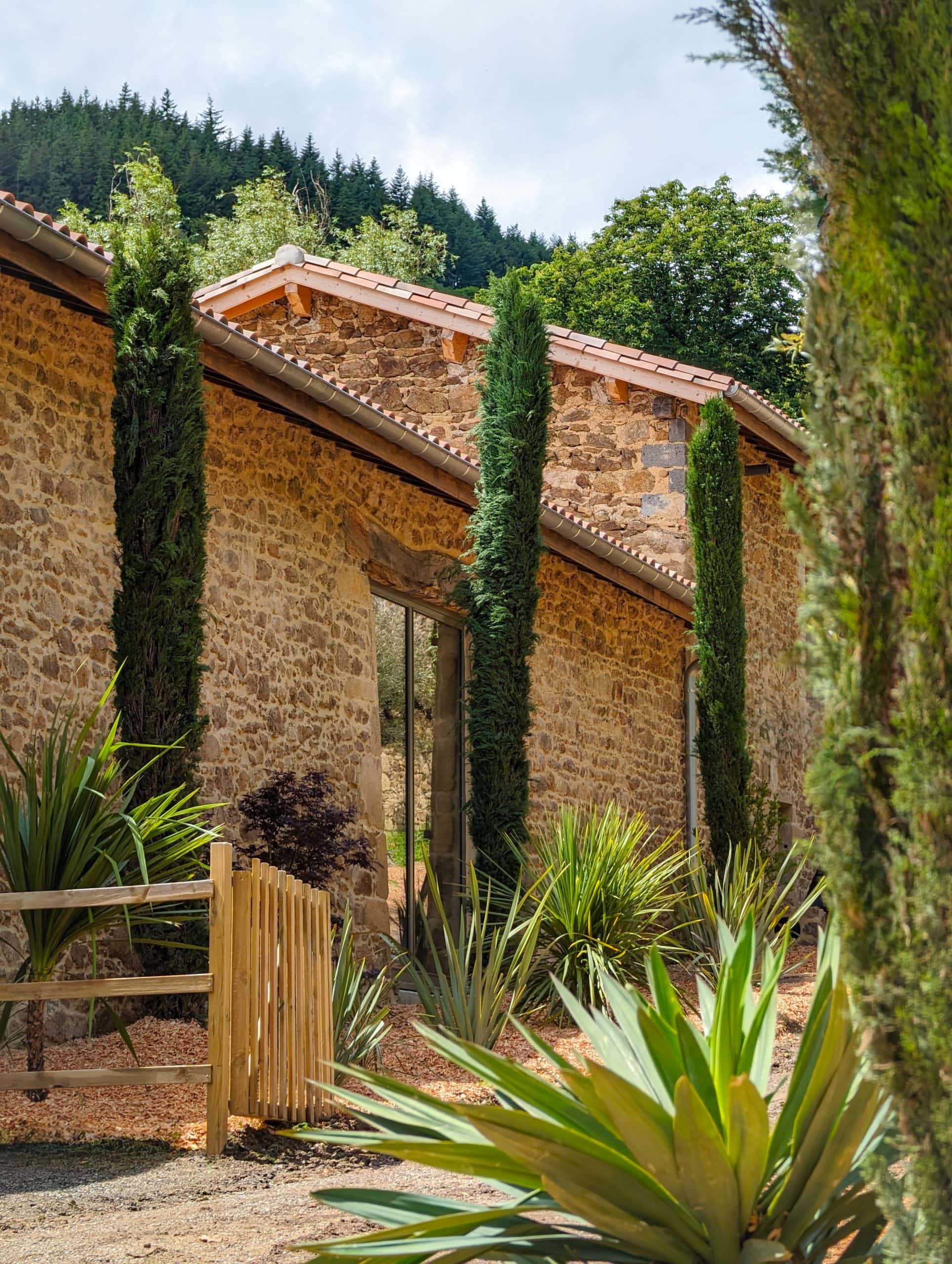 Jardin yuccas