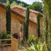 Jardin yuccas