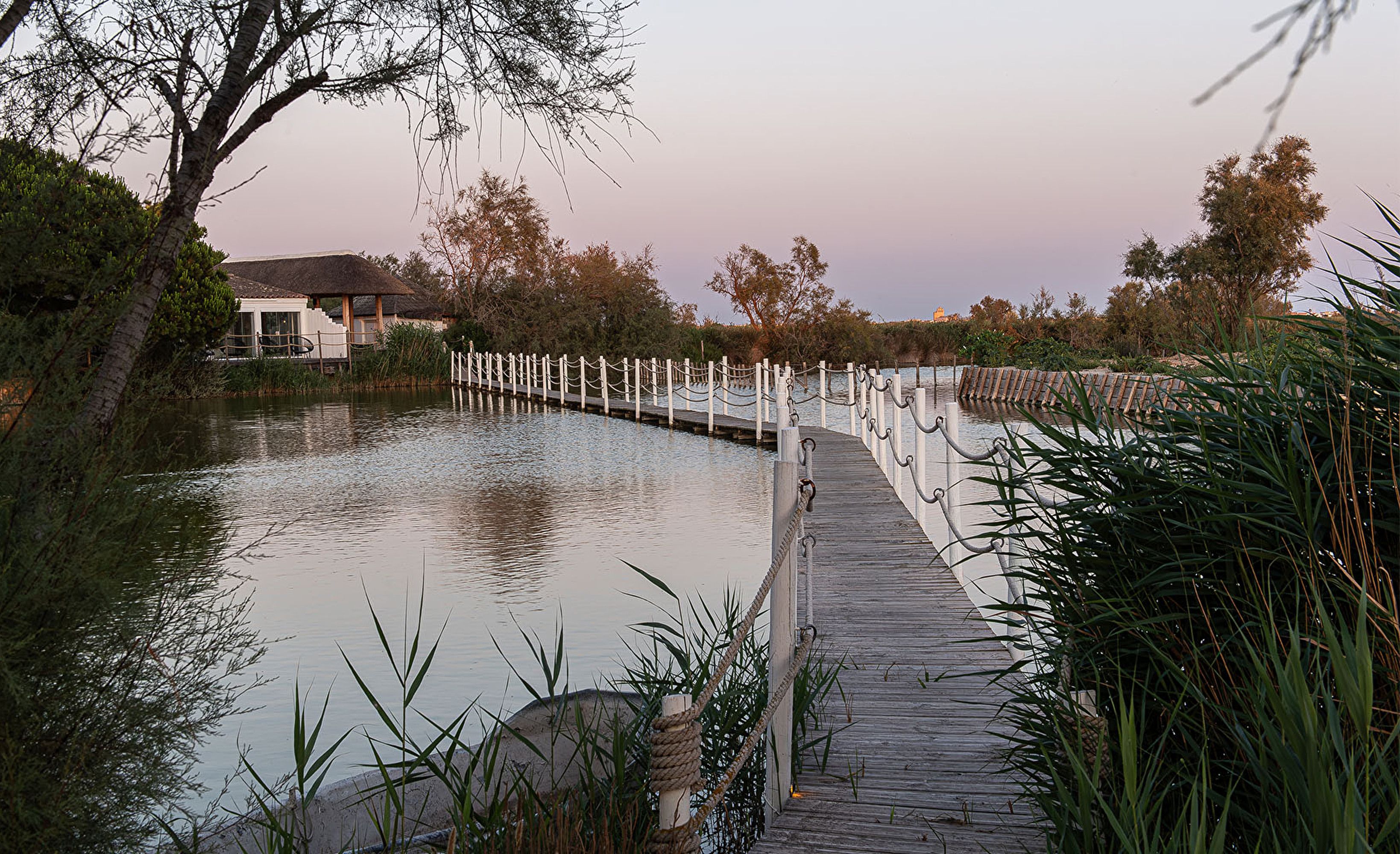 Ponton roseaux dusk
