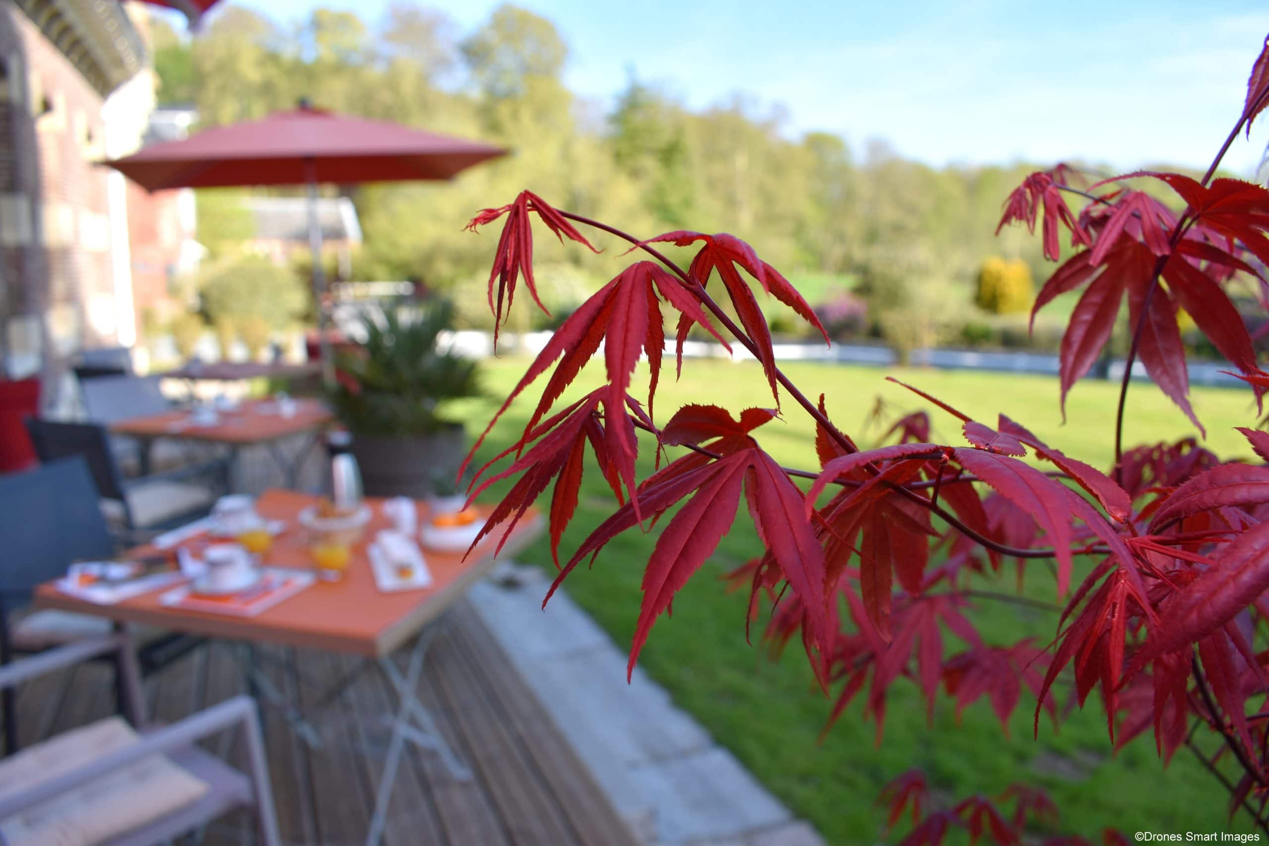 Terrasse petit dej