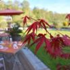 Terrasse petit dej