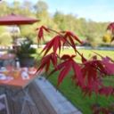 Terrasse petit dej