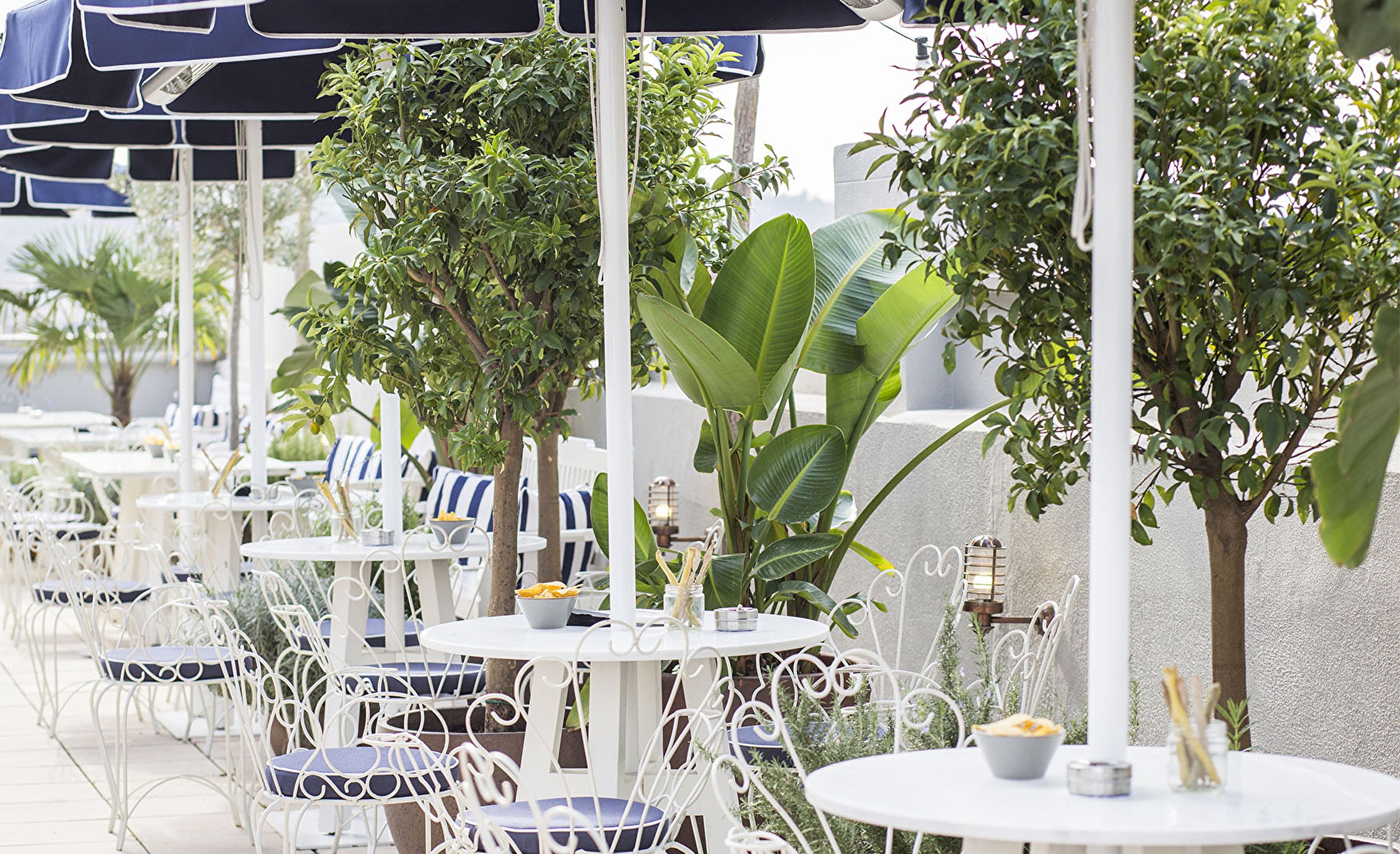 Rooftop terrasse vegetation
