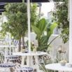Rooftop terrasse vegetation