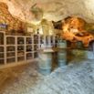 Cave troglodyte