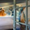 Chambre street art mansardee