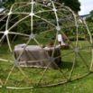 Dome bambou jardin
