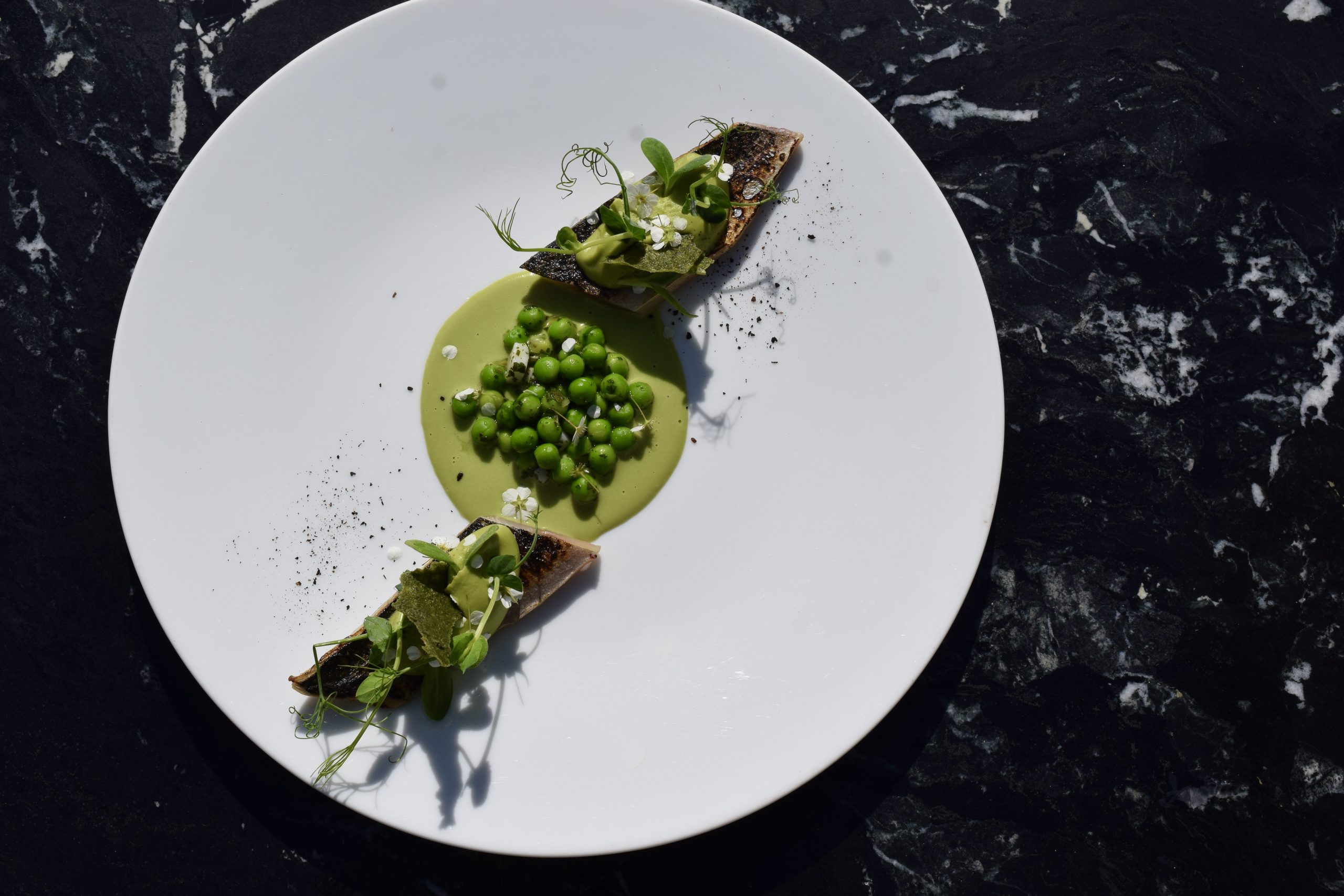 Plat poisson
