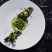 Plat poisson