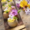 Amuse bouche oeufs