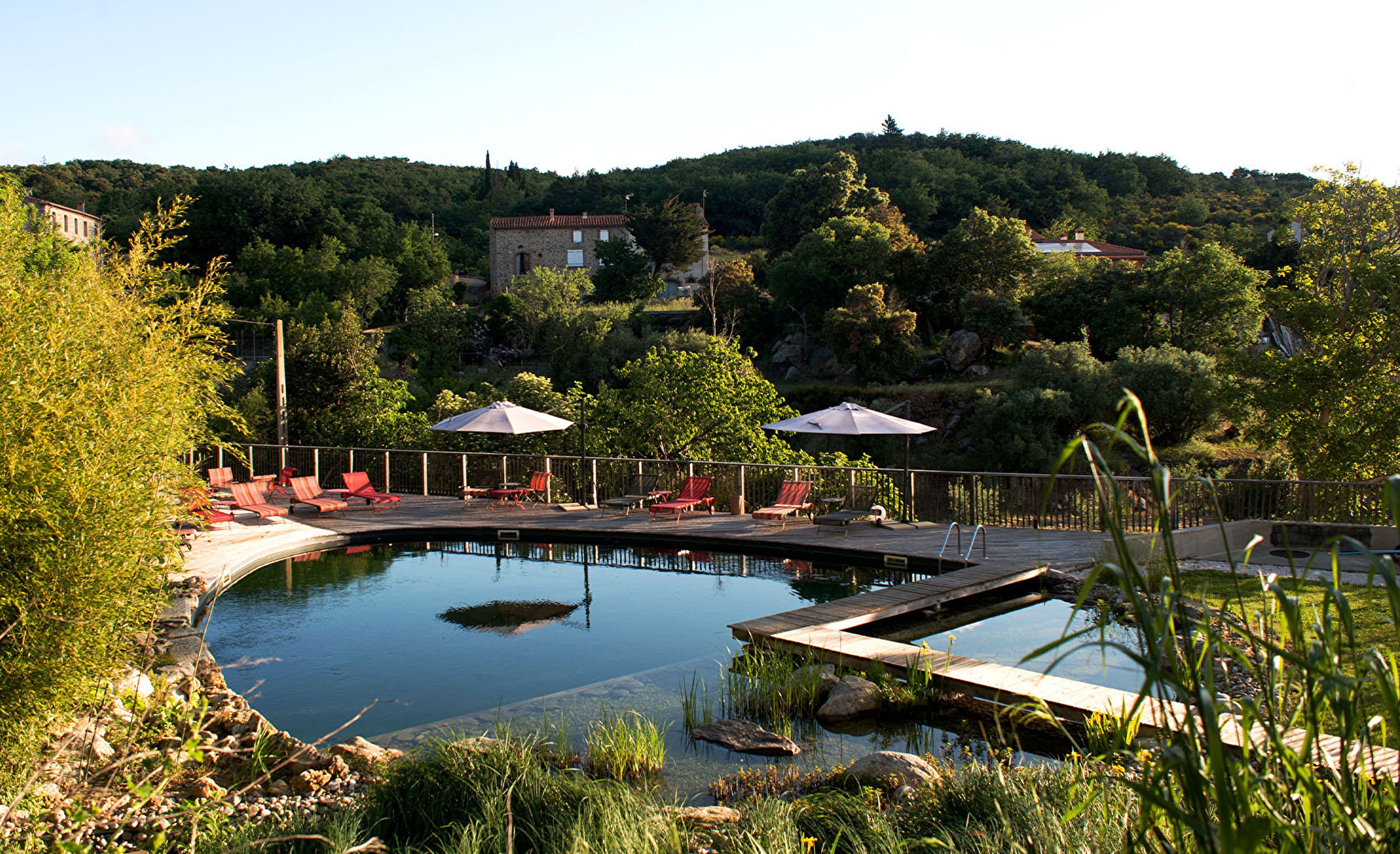 Piscine naturelle