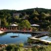Piscine naturelle