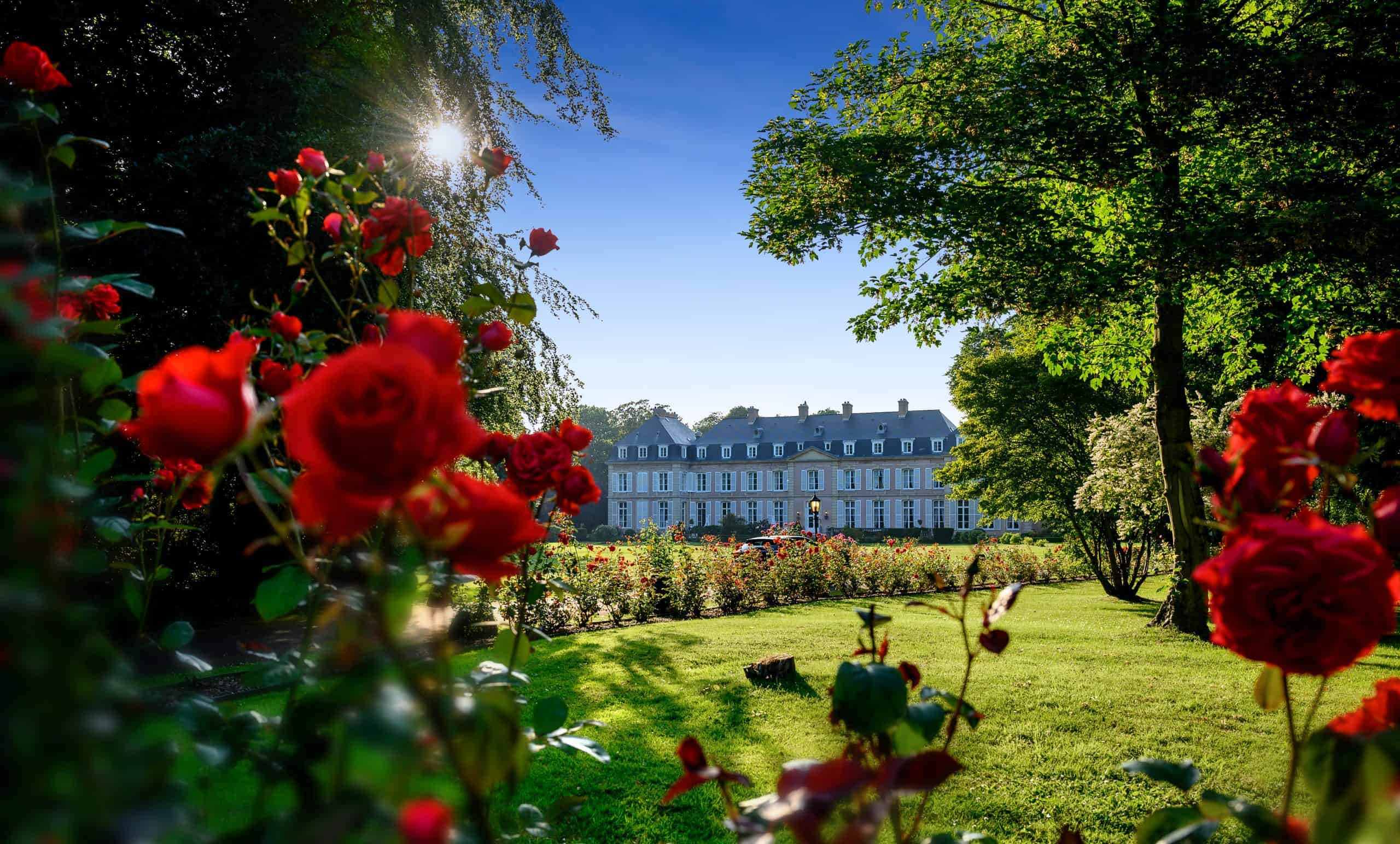 Jardin roses