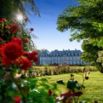 Jardin roses