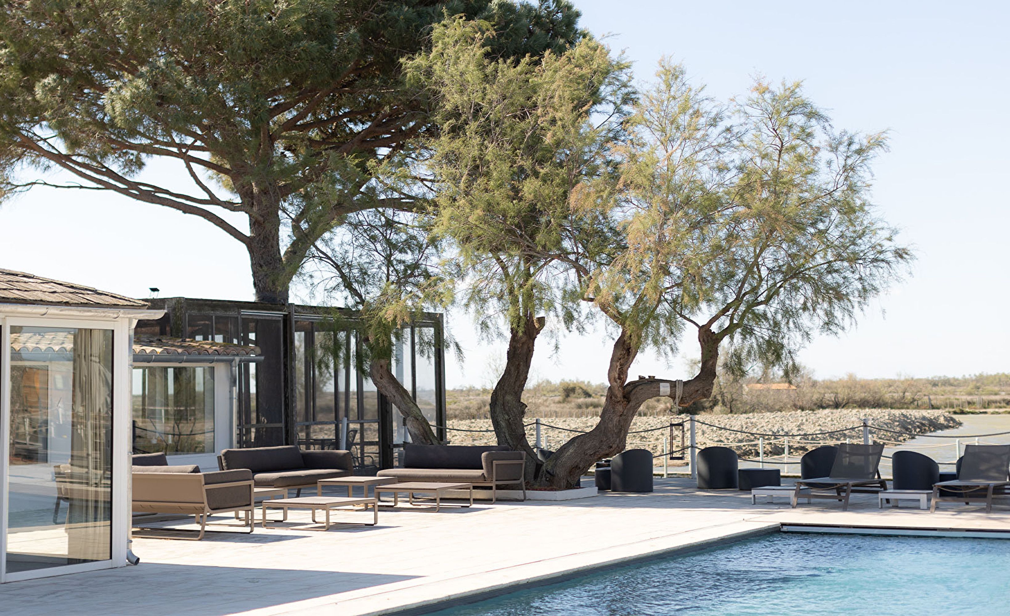 Piscine arbre tamaris