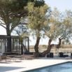 Piscine arbre tamaris